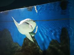 -秦皇岛新澳海底世界