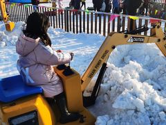 -绿野森林乐园冰雪季