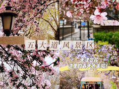 -天津五大道文化旅游区
