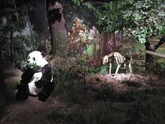 -湖南省地质博物馆