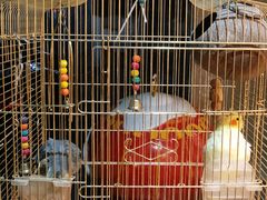 -潇湘·永州会馆(百子湾店)