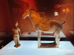 -敦煌市博物馆