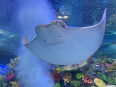 -成都浩海立方海洋公园