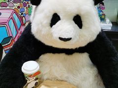-轩客会(熊猫书店)