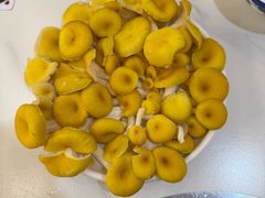 -朴小妹人参鸡汤火锅(长白山万达店)