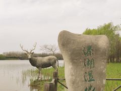 -溱湖国家湿地公园