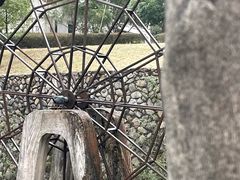 -温州永嘉书院