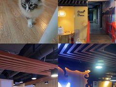 -白兔子密室(长寿路店)