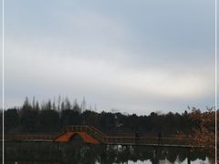 -渌洋湖湿地公园