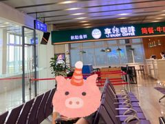 -潍坊南苑机场