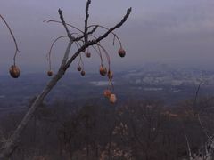 -紫金山山顶公园