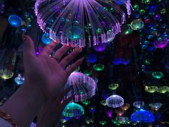 -梵高星空艺术馆(北京旗舰店)