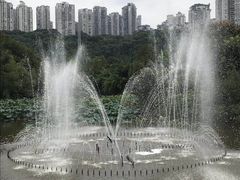 -龙头寺公园