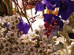 -北京植物园-展览温室