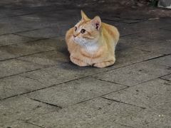 -赤坎老街