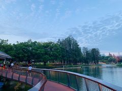 -四海公园(南山区)