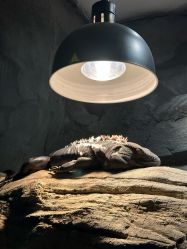 -Zoolung Zoolung动物主题公园(海信广场店)