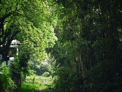 -大罗山风景区