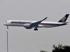 -新加坡航空公司(ION)