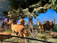 -国家自然博物馆