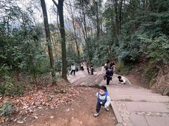 -凤栖山