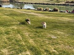 -九里河湿地公园