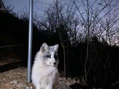 -鬼笑石后山停车场