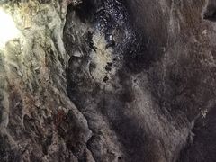 -仙蘑洞