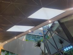 -墩儿大碗宽面(来福士店)