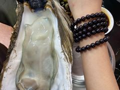 -新会鲜蚝鸡煲(新会总店)