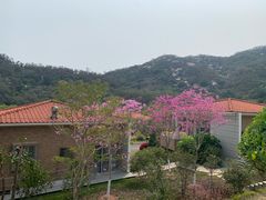 -厦门国家会计学院
