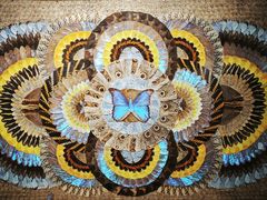 -上海昆虫博物馆