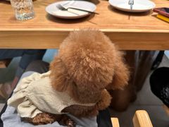 -本处·素食·融合料理(南油店)