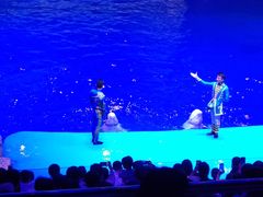-芜湖新华联大白鲸海洋公园