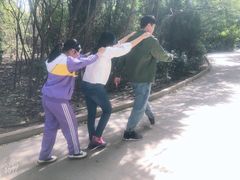 -塘沽森林公园