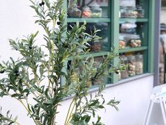 -tuan woodfire kitchen(锦绣坊店)