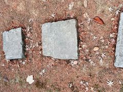 -苏州文庙(姑苏区)