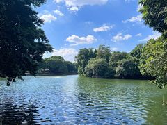 -荔湾湖公园