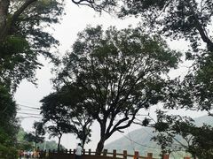 -飞霞风景名胜区