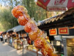 -北宫国家森林公园