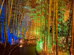 -天目湖涵田半山温泉