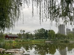 -西海子公园
