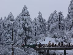 -瓦屋山景区