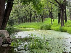 -承德避暑山庄景区