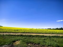 -扁都口生态休闲旅游区
