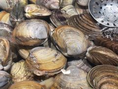 -曼格活海鲜·牛排自助(光明蓝鲸店)
