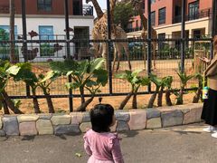 -灵玲国际马戏城