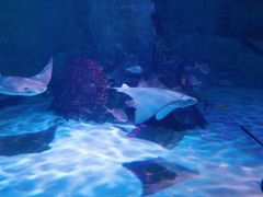 -沈阳海洋探索中心