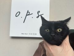 -O.P.S. CAFE