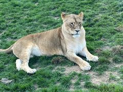 -北京野生动物园